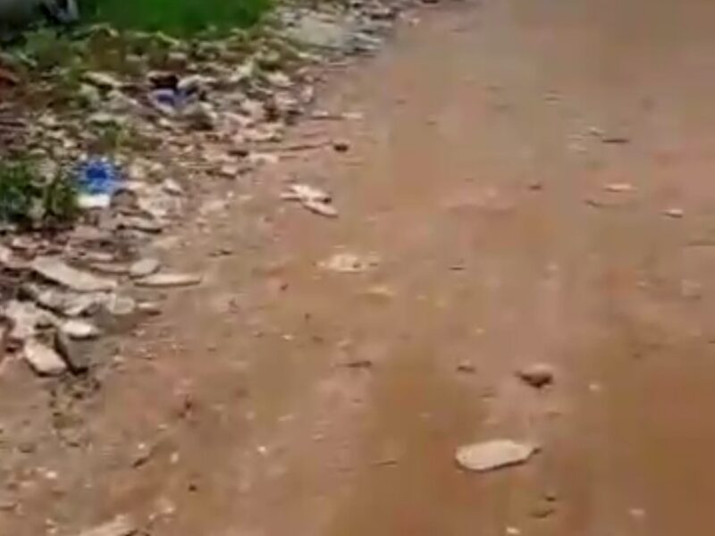 TERRAIN COMMERCIAL EN LOCATION ZONE 4 RUE FLEMMING