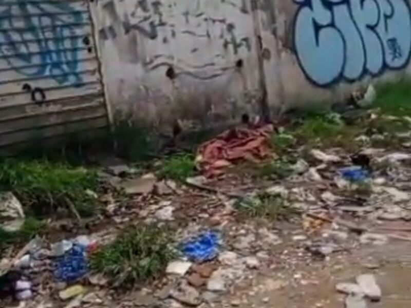 TERRAIN COMMERCIAL EN LOCATION ZONE 4 RUE FLEMMING