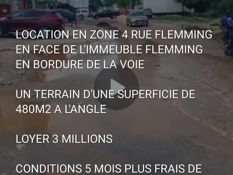 TERRAIN COMMERCIAL EN LOCATION ZONE 4 RUE FLEMMING