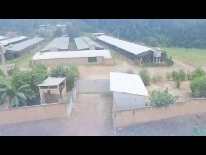 11 HECTARES A VENDRE PK44 NON LOIN AUTOROUTE DU NORD 25000cfa le m2