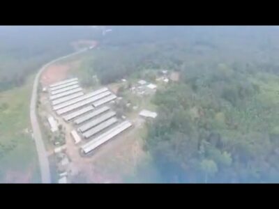 11 HECTARES A VENDRE PK44 NON LOIN AUTOROUTE DU NORD 25000cfa le m2