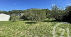 Terrain 10 000m2 en Zone 4