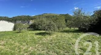 Terrain 10 000m2 en Zone 4