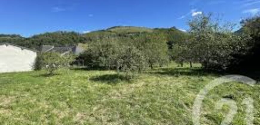 Terrain 10 000m2 en Zone 4