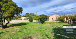 Terrain 10 000m2 en Zone 4