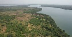 TERRAIN (PARCELLE) A VENDRE A JACQUEVILLE BAIE DES MILLIARDAIRES