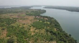 TERRAIN (PARCELLE) A VENDRE A JACQUEVILLE BAIE DES MILLIARDAIRES