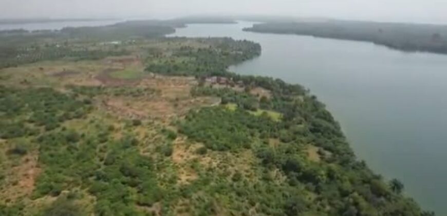 TERRAIN (PARCELLE) A VENDRE A JACQUEVILLE BAIE DES MILLIARDAIRES