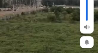 TERRAIN SW 4.5 HECTARES A VENDRE GRAND BASSAM
