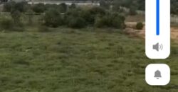 TERRAIN SW 4.5 HECTARES A VENDRE GRAND BASSAM